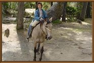 Cabalgatas ni&ntilde;os y adultos - Patagonia